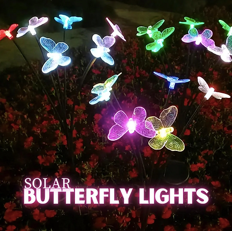 6 LED Multicolour Butterfly Solar Lights 2