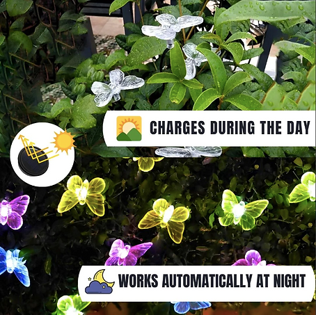 6 LED Multicolour Butterfly Solar Lights 3